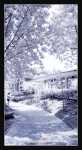 ir-SDIM0954