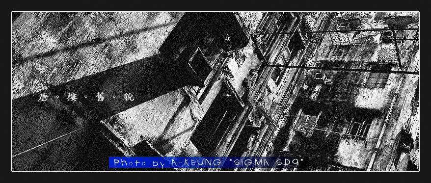 wIMG07496
