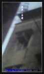 wIMG08452