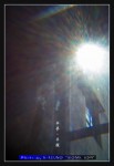 wIMG08508