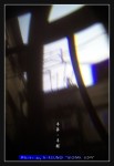 wIMG08516