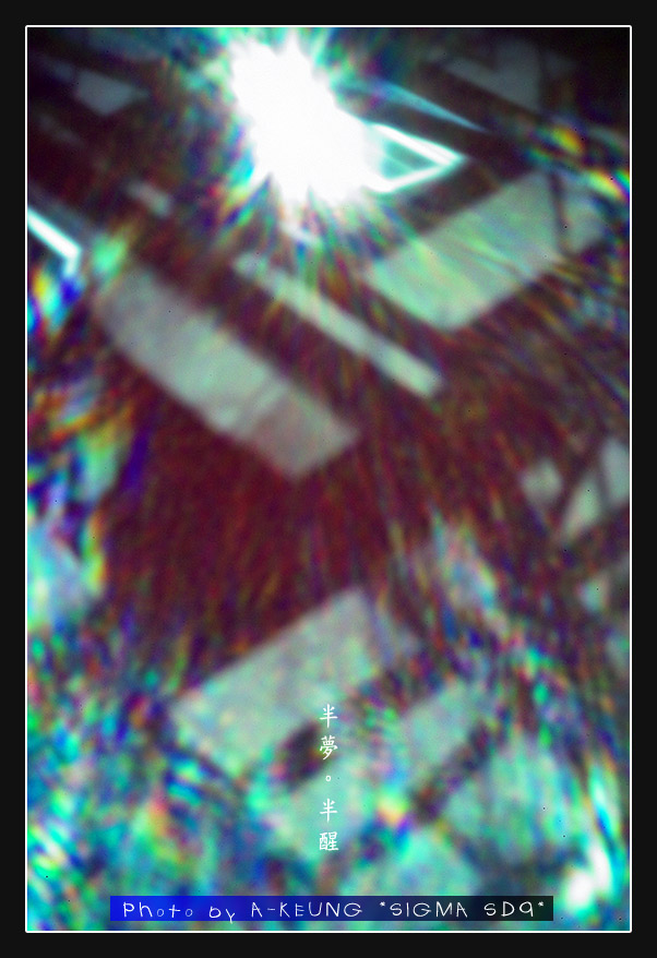 wIMG08544