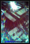wIMG08544