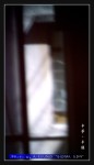 wIMG08545