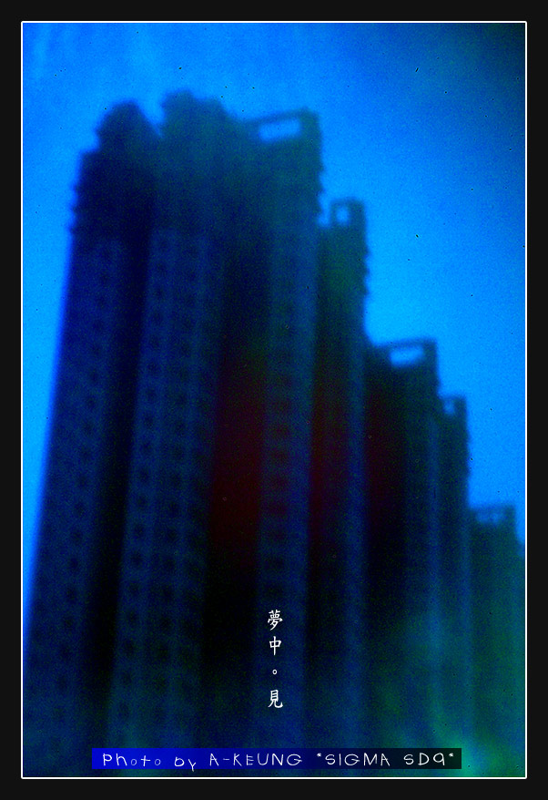 wIMG08593