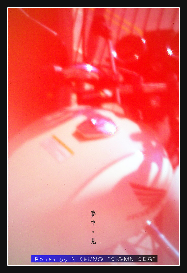 wIMG08619