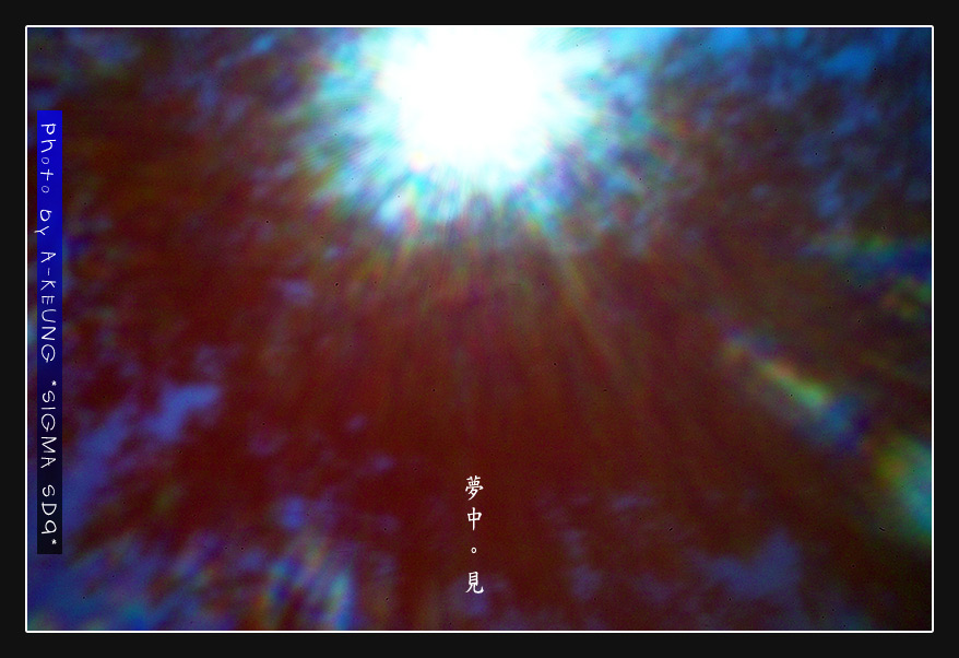 wIMG08628