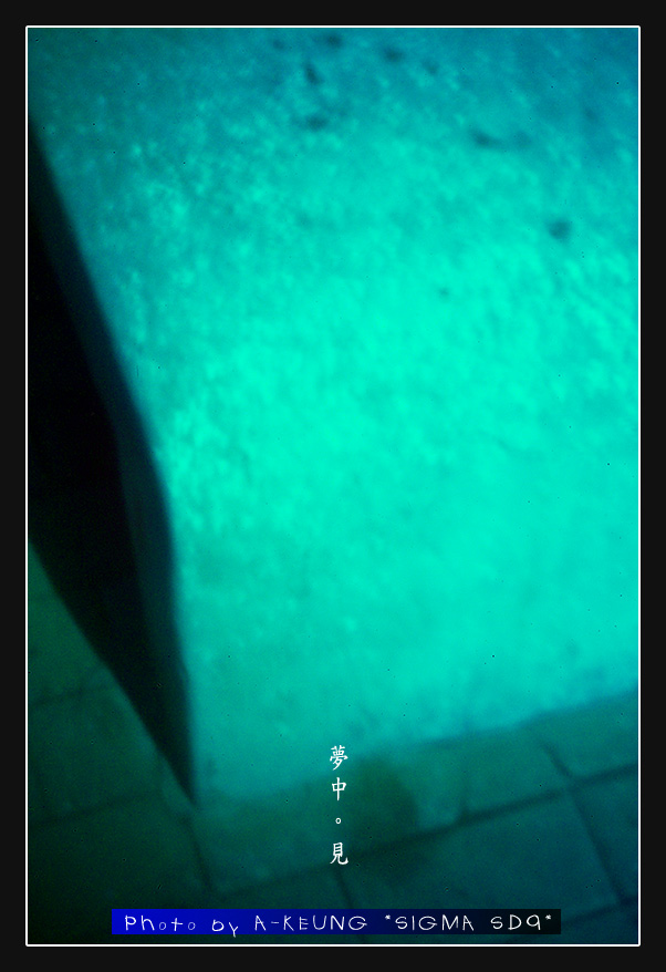 wIMG08631