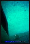 wIMG08631