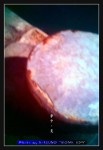 wIMG08632