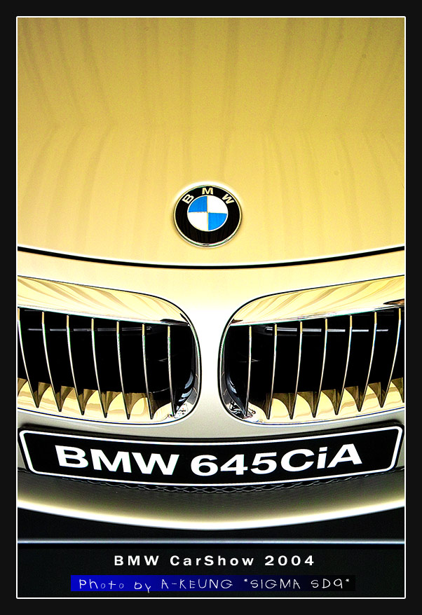 wIMG08888