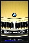 wIMG08888