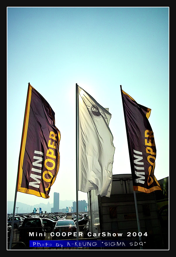 wIMG09027