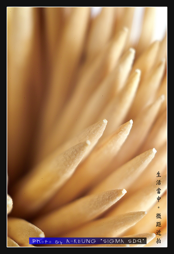 wIMG09093