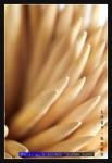 wIMG09093