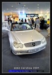 wIMG09174