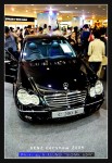 wIMG09260