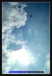 wIMG09371