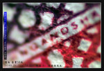 wIMG11597