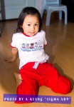 wbcaIMG03278