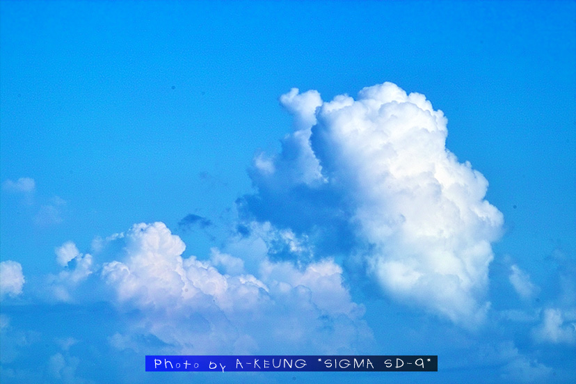 wIMG05257