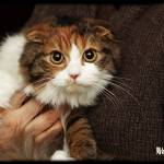 �ʭ��ۤ��G 090117@�p�_