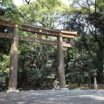 IMG_9028_resize.JPG
