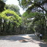 IMG_9037_resize.JPG