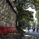 IMG_9083_resize.JPG
