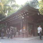 IMG_9090_resize.JPG