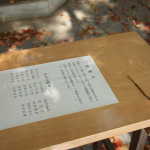 IMG_9104_resize.JPG