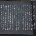 IMG_9138_resize.JPG