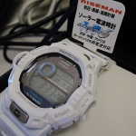 IMG_0521_resize.JPG