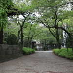 IMG_9256_resize.JPG