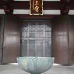 IMG_9266_resize.JPG