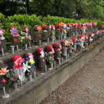 IMG_9290_resize.JPG