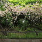 IMG_9293_resize.JPG