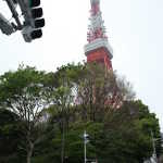 IMG_9306_resize.JPG