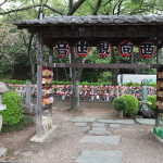 IMG_9376_resize.JPG