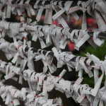 IMG_9378_resize.JPG