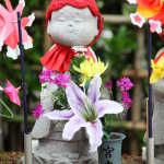IMG_9382_resize.JPG
