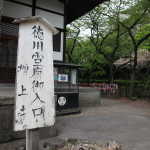 IMG_9384_resize.JPG