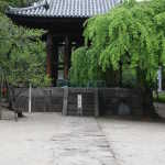 IMG_9388_resize.JPG