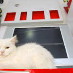 aDSC_2221.jpg
