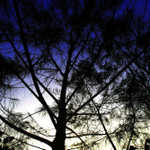 aIMG_8440.jpg
