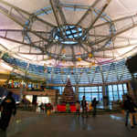 aIMG_8507.jpg