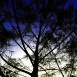 dIMG_8440.jpg