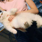 aIMG_0072.jpg