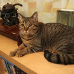 aIMG_8980.jpg