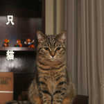 aIMG_9014.jpg